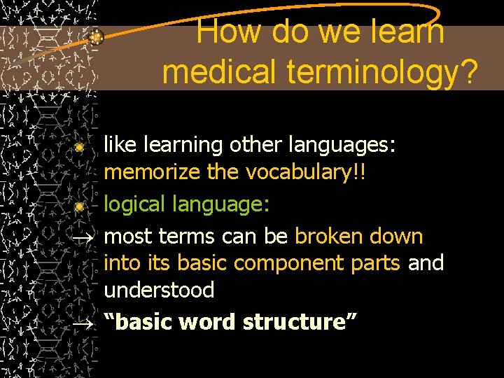How do we learn medical terminology? like learning other languages: memorize the vocabulary!! logical