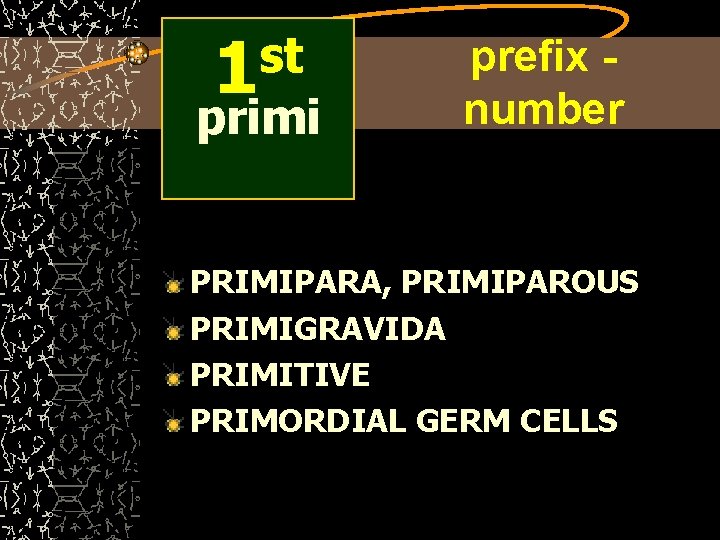 st 1 primi prefix number PRIMIPARA, PRIMIPAROUS PRIMIGRAVIDA PRIMITIVE PRIMORDIAL GERM CELLS 