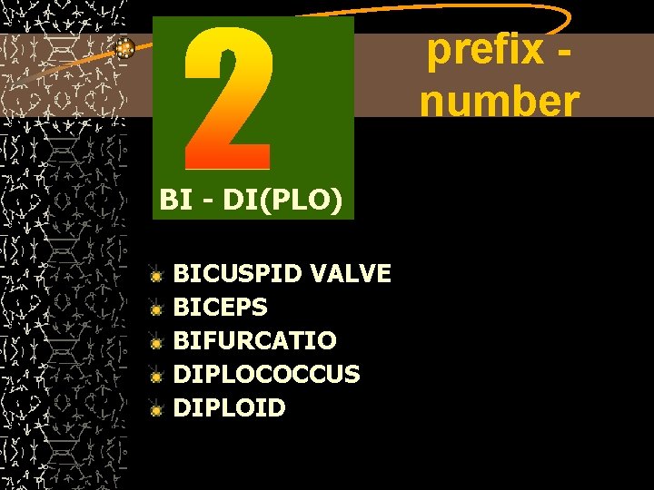prefix number BI - DI(PLO) BICUSPID VALVE BICEPS BIFURCATIO DIPLOCOCCUS DIPLOID 