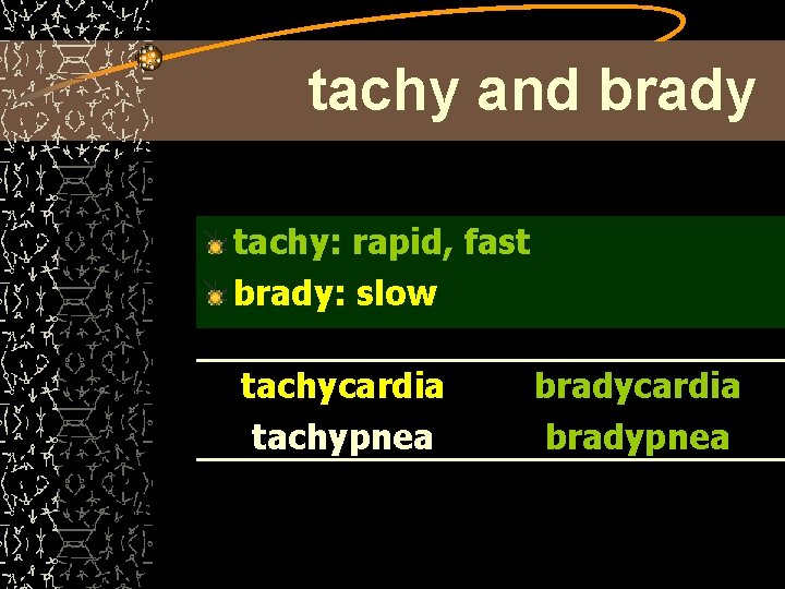 tachy and brady tachy: rapid, fast brady: slow tachycardia tachypnea bradycardia bradypnea 