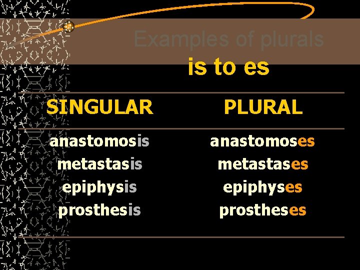 Examples of plurals is to es SINGULAR PLURAL anastomosis metastasis epiphysis prosthesis anastomoses metastases
