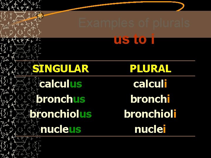 Examples of plurals us to i SINGULAR calculus bronchiolus nucleus PLURAL calculi bronchioli nuclei