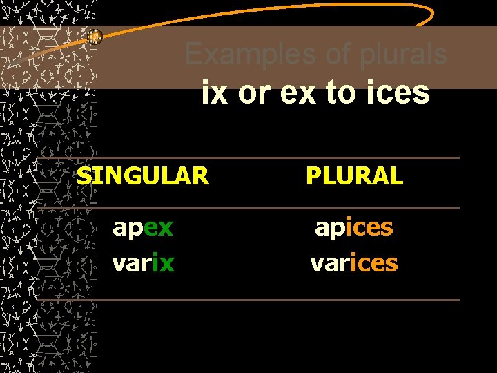 Examples of plurals ix or ex to ices SINGULAR PLURAL apex varix apices varices