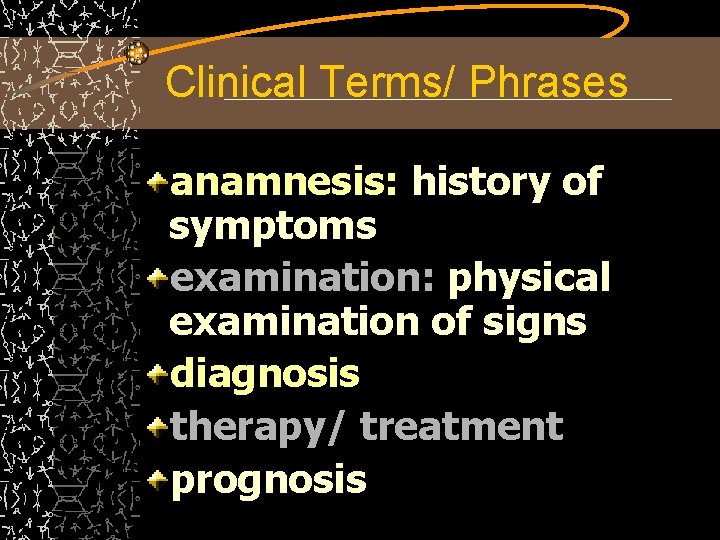 Clinical Terms/ Phrases anamnesis: history of symptoms examination: physical examination of signs diagnosis therapy/