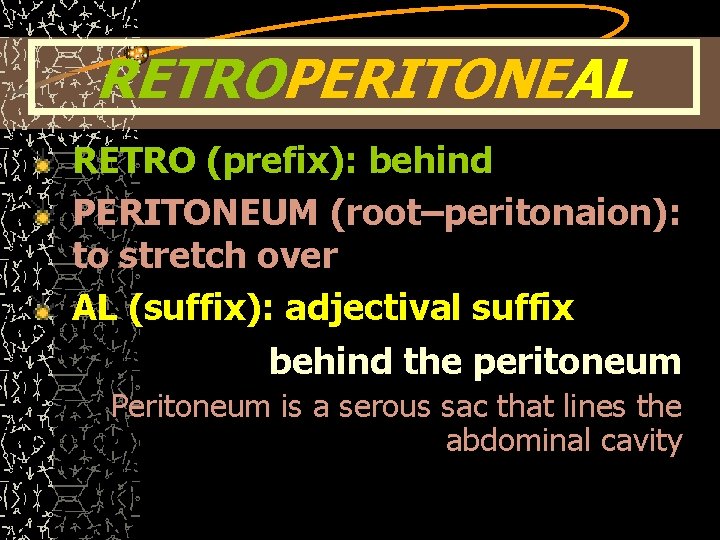 RETROPERITONEAL RETRO (prefix): behind PERITONEUM (root–peritonaion): to stretch over AL (suffix): adjectival suffix behind