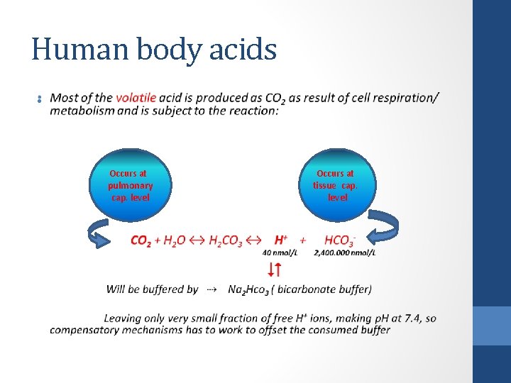 Human body acids • Occurs at pulmonary cap. level Occurs at tissue cap. level