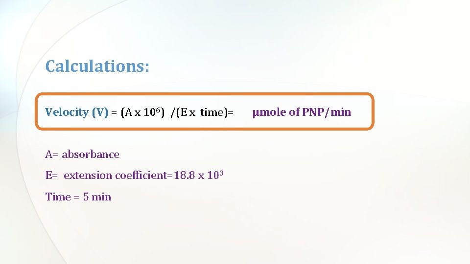 Calculations: Velocity (V) = (A x 106) /(E x time)= A= absorbance E= extension