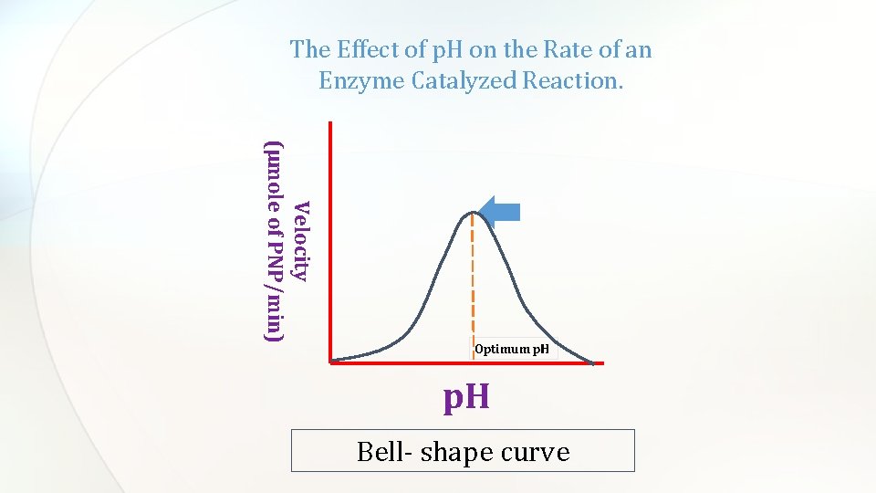The Effect of p. H on the Rate of an Enzyme Catalyzed Reaction. Velocity