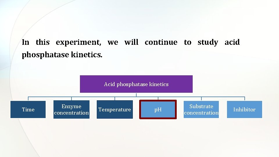 In this experiment, we will continue to study acid phosphatase kinetics. Acid phosphatase kinetics