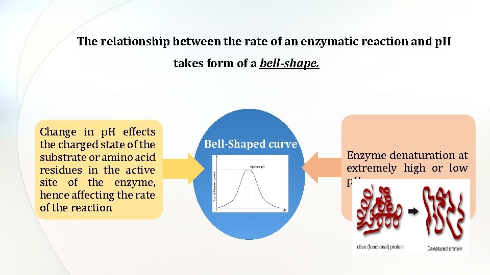 The relationship between the rate of an enzymatic reaction and p. H takes form