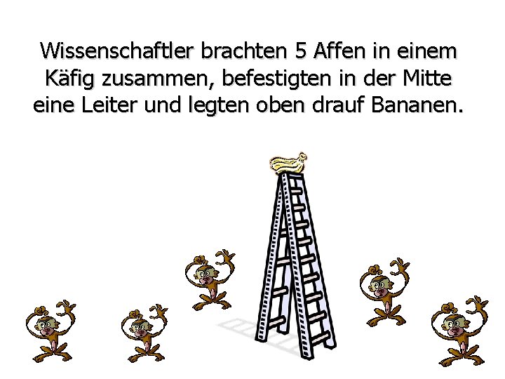 Wissenschaftler brachten 5 Affen in einem Käfig zusammen, befestigten in der Mitte eine Leiter
