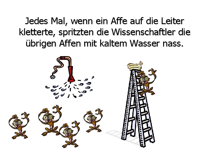 Jedes Mal, wenn ein Affe auf die Leiter kletterte, spritzten die Wissenschaftler die übrigen