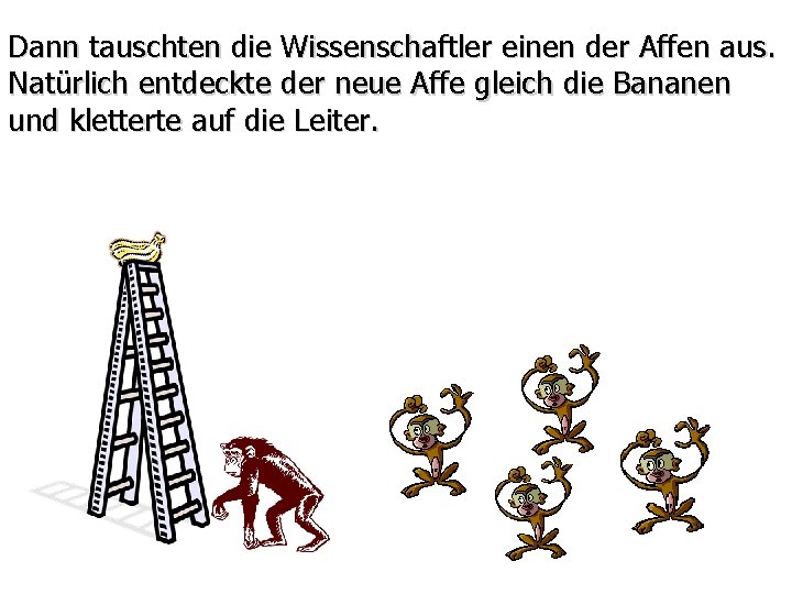 Dann tauschten die Wissenschaftler einen der Affen aus. Natürlich entdeckte der neue Affe gleich