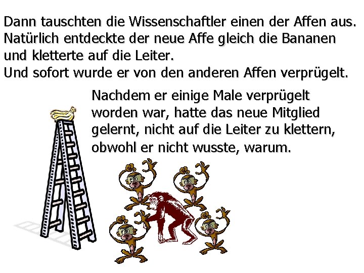 Dann tauschten die Wissenschaftler einen der Affen aus. Natürlich entdeckte der neue Affe gleich