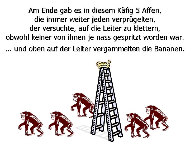 Am Ende gab es in diesem Käfig 5 Affen, die immer weiter jeden verprügelten,