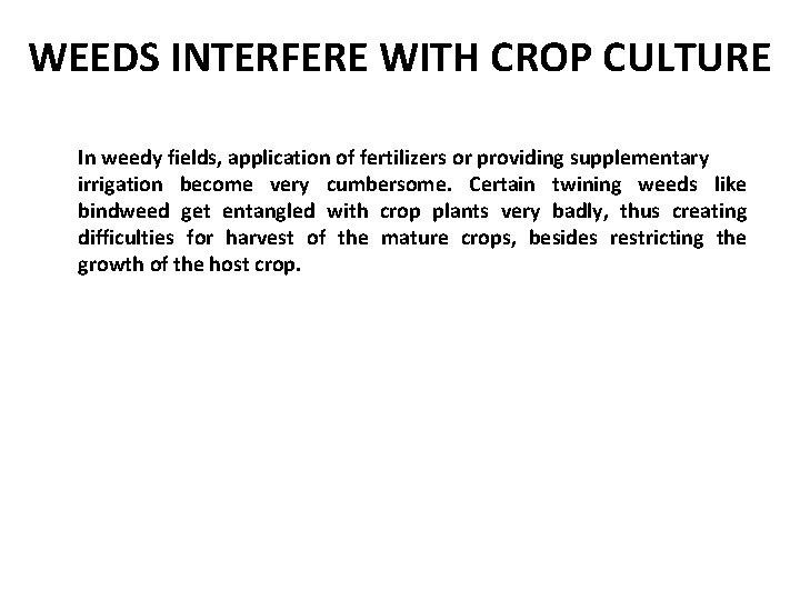 WEEDS INTERFERE WITH CROP CULTURE In weedy fields, application of fertilizers or providing supplementary