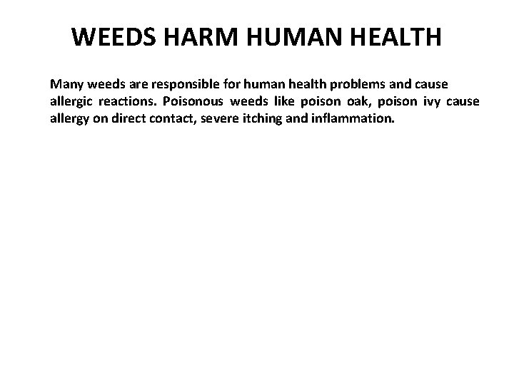 WEEDS HARM HUMAN HEALTH Many weeds are responsible for human health problems and cause