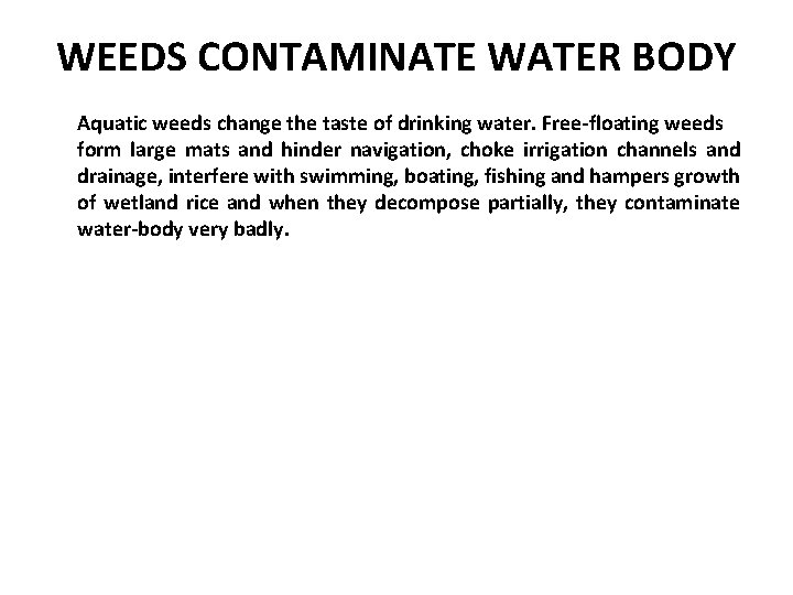 WEEDS CONTAMINATE WATER BODY Aquatic weeds change the taste of drinking water. Free-floating weeds