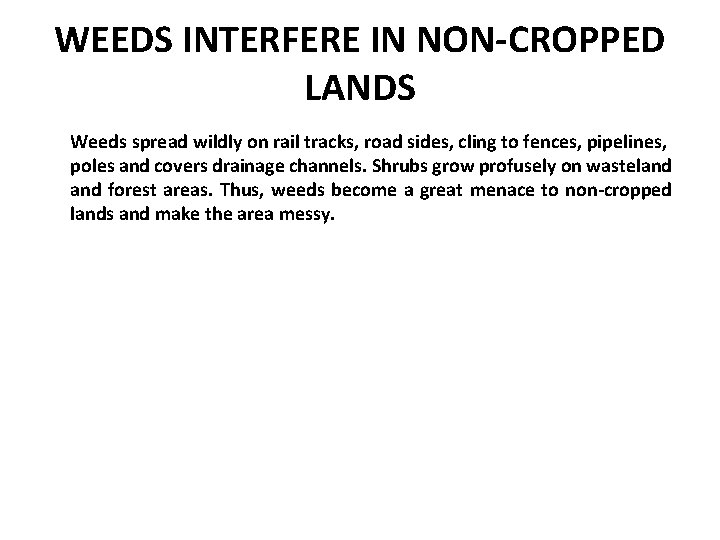 WEEDS INTERFERE IN NON-CROPPED LANDS Weeds spread wildly on rail tracks, road sides, cling