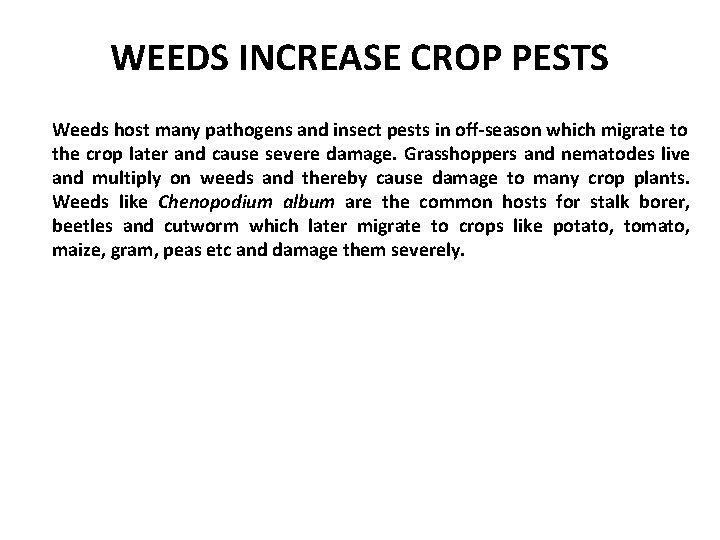 WEEDS INCREASE CROP PESTS Weeds host many pathogens and insect pests in off-season which