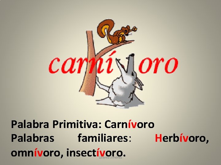 Palabra Primitiva: Carnívoro Palabras familiares: Herbívoro, omnívoro, insectívoro. Ullenid Jiménez 