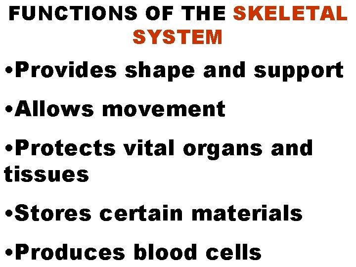 FUNCTIONS OF THE SKELETAL SYSTEM • Provides shape and support • Allows movement •