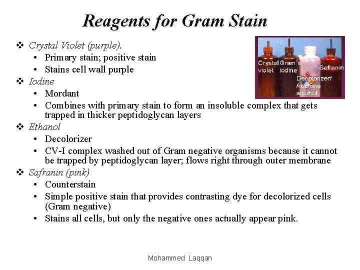 Reagents for Gram Stain v Crystal Violet (purple). • Primary stain; positive stain •