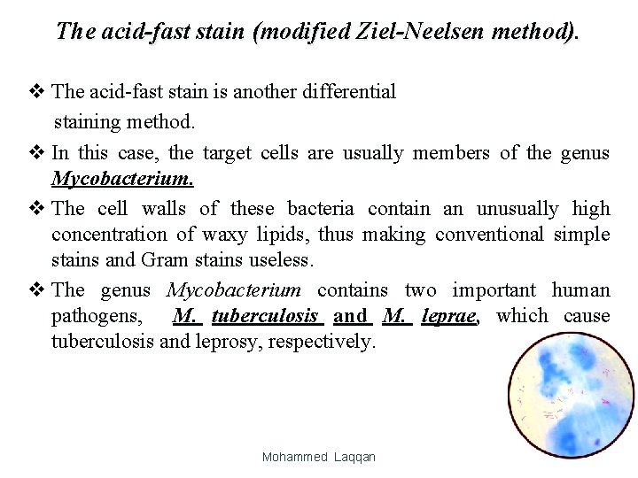 The acid-fast stain (modified Ziel-Neelsen method). v The acid-fast stain is another differential staining