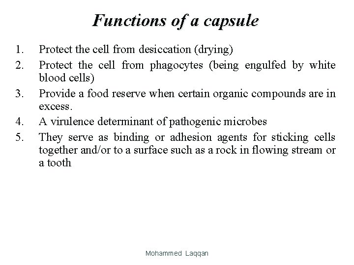 Functions of a capsule 1. 2. 3. 4. 5. Protect the cell from desiccation