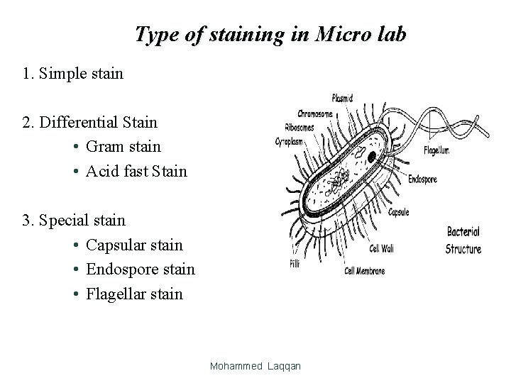 Type of staining in Micro lab 1. Simple stain 2. Differential Stain • Gram