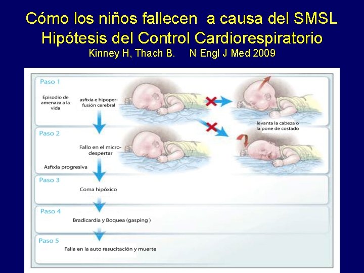 Cómo los niños fallecen a causa del SMSL Hipótesis del Control Cardiorespiratorio Kinney H,