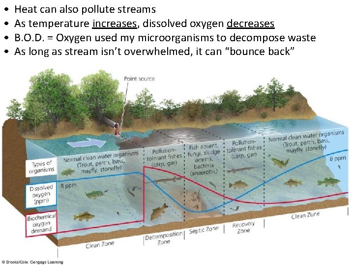  • • Heat can also pollute streams As temperature increases, dissolved oxygen decreases