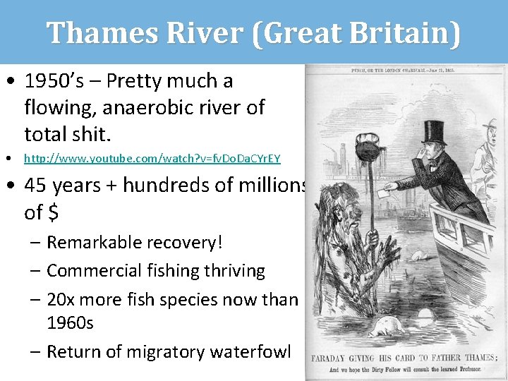 Thames River (Great Britain) • 1950’s – Pretty much a flowing, anaerobic river of