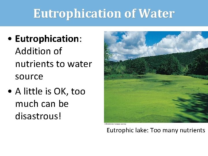 Eutrophication of Water • Eutrophication: Addition of nutrients to water source • A little