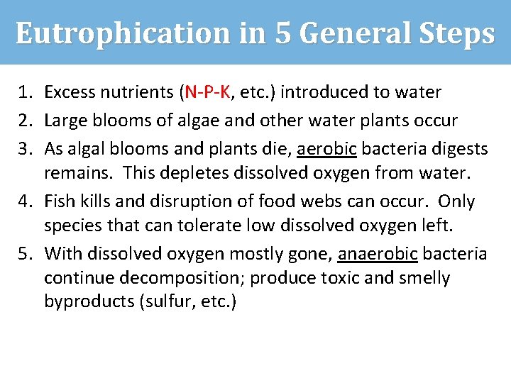 Eutrophication in 5 General Steps 1. Excess nutrients (N-P-K, etc. ) introduced to water