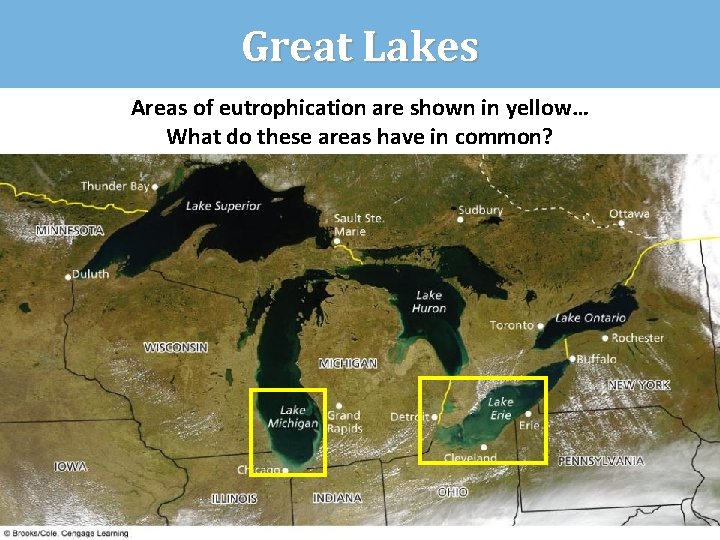 Great Lakes Areas of eutrophication are shown in yellow… What do these areas have