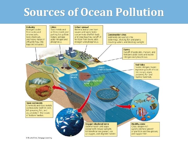 Sources of Ocean Pollution 
