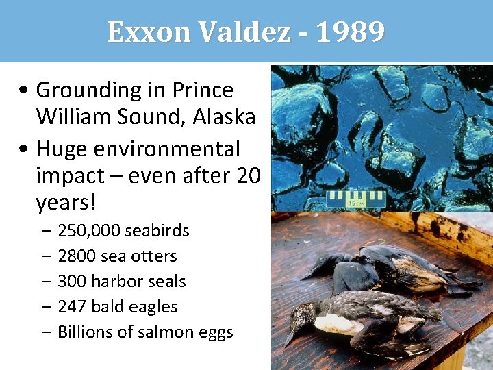 Exxon Valdez - 1989 • Grounding in Prince William Sound, Alaska • Huge environmental