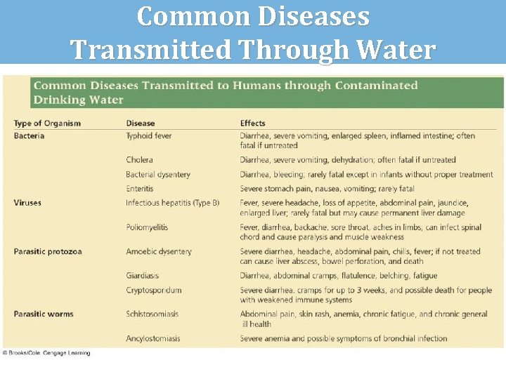 Common Diseases Transmitted Through Water 