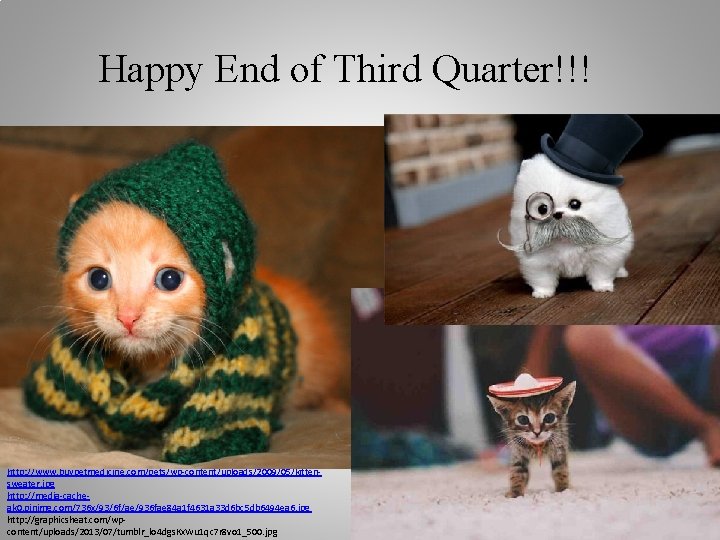 Happy End of Third Quarter!!! http: //www. buypetmedicine. com/pets/wp-content/uploads/2009/05/kittensweater. jpg http: //media-cacheak 0. pinimg.