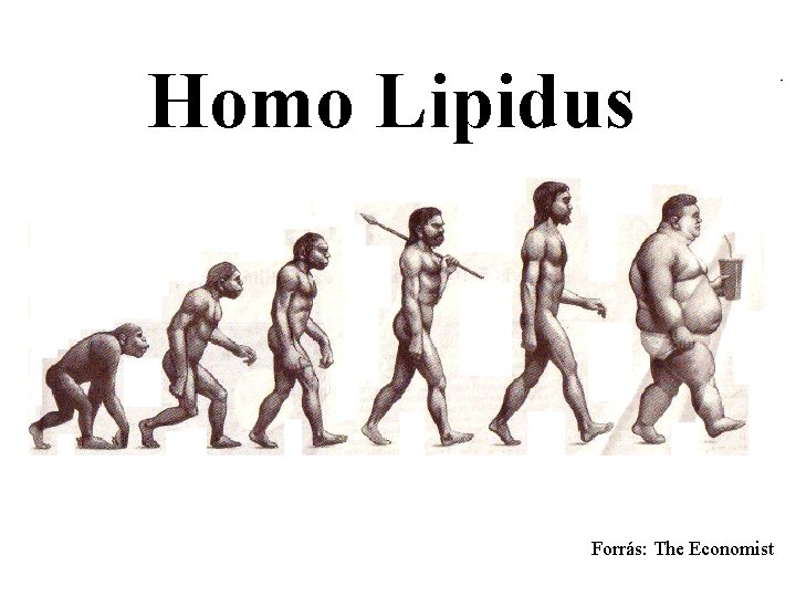 Homo Lipidus Forrás: The Economist 