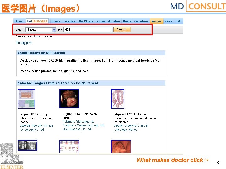 医学图片（Images） What makes doctor click TM 81 