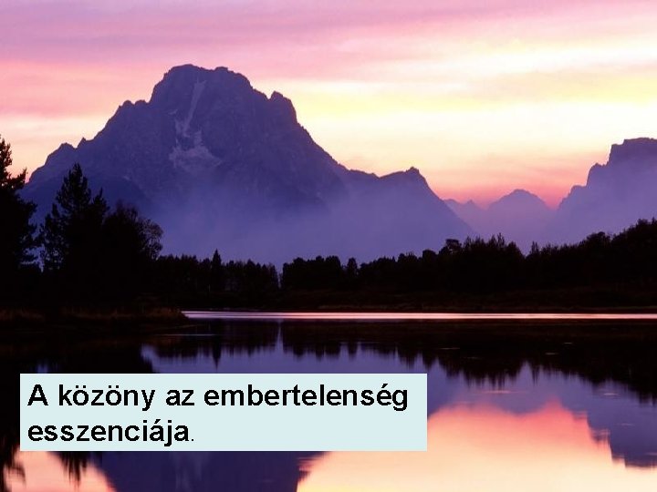 A közöny az embertelenség esszenciája. 