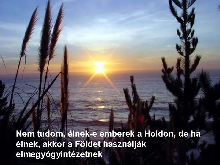 Nem tudom, élnek-e emberek a Holdon, de ha élnek, akkor a Földet használják elmegyógyintézetnek.