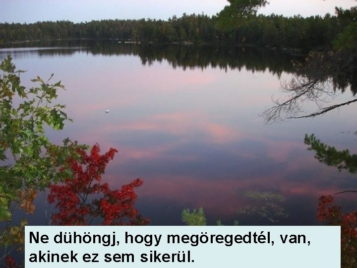Ne dühöngj, hogy megöregedtél, van, akinek ez sem sikerül. 