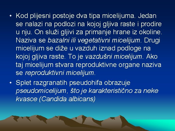  • Kod plijesni postoje dva tipa micelijuma. Jedan se nalazi na podlozi na