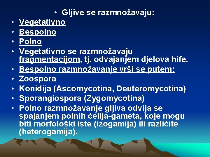  • • • Gljive se razmnožavaju: Vegetativno Bespolno Polno Vegetativno se razmnožavaju fragmentacijom,