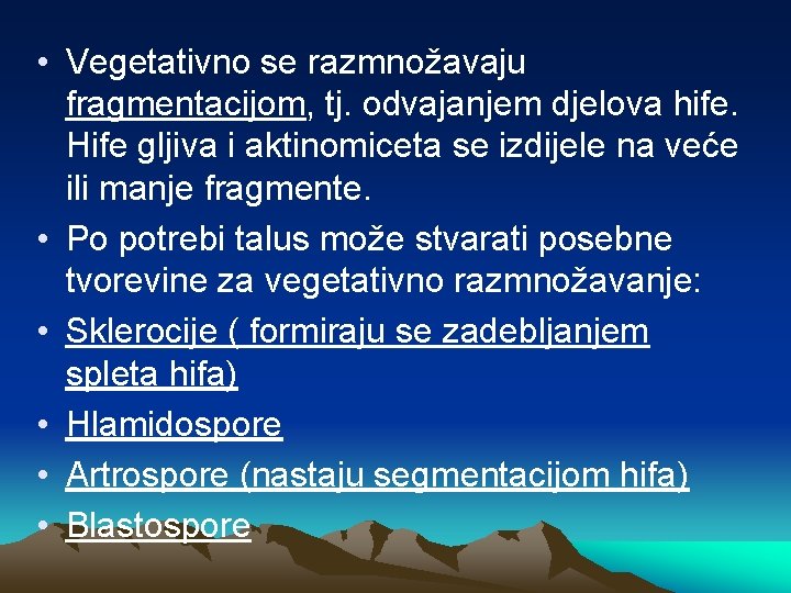  • Vegetativno se razmnožavaju fragmentacijom, tj. odvajanjem djelova hife. Hife gljiva i aktinomiceta