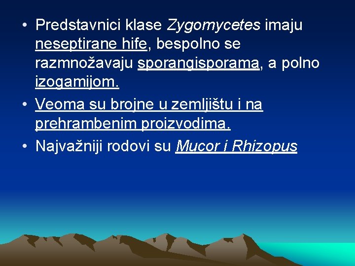  • Predstavnici klase Zygomycetes imaju neseptirane hife, bespolno se razmnožavaju sporangisporama, a polno