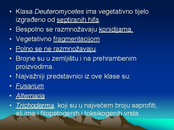  • Klasa Deuteromycetes ima vegetativno tijelo izgrađeno od septiranih hifa. • Bespolno se